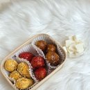 퍼피원데이 이미지