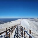 풍기농협순흥지점 | 소백산 등산코스 지도 비로봉 초보코스 대중교통 휴식포인트 총정리
