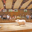 돼지보러오면돼지 이미지