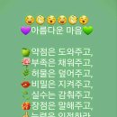 참존여행주