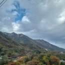 여주-1029 이미지