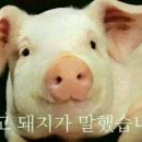 고모리 돌짜장 이미지