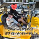 VR로 떠나는 모험 | [단양] 아이랑 이색체험 단양 오무아무아팜투어 방문 후기