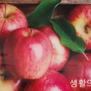 생활의향기