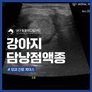 일곡동물병원 이미지