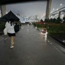 나경구이 | 이곰탱의 부산 캠핑 여행 2일차