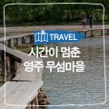 학사청년와이스트리트협동조합
