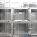 혜민동물병원 이미지