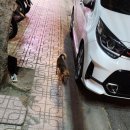 백승목장 | (2024) 친구랑 6월 나트랑 여행 3