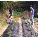 진동도서관 이미지