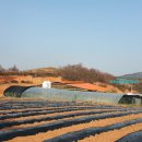 거대한우농장 이미지