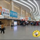 2019 수원건축박람회, 수원차공예박람회 첫날 후기