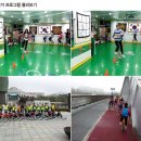 한양태권도 이미지