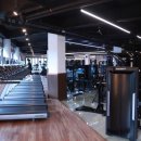 바디스타짐 이미지