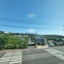 서호동-66 네이버블로그
