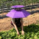 우산2 이미지