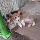 세광상사 이미지