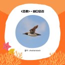 (주)생물나라 이미지