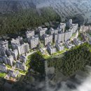 포레스트541 이미지