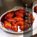 광장18호 네이버블로그