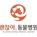 괜찮아동물병원 이미지
