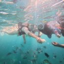 한바다참치 | 아이와 세부여행 세부 최고의 호핑 한바다호핑 내돈내산 후기