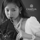 스튜디오카멜리아
