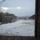 영심이네 펜션 | [전라북도 무주 여행 1박2일] 설경 끄트머리! 2월에 다녀온 덕유산(영심이네,무주국밥,덕유산숲펜션)