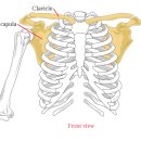 달천한의원 이미지
