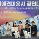 국제애견 이미지