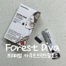 포레스트디바