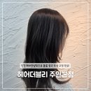 설화공원 | [주안미용실 / 시민공원미용실] 헤어더블리 설화수석디자이너 헤어컨설팅 후기: 앞머리교정&amp;뿌리볼륨펌