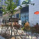 국제유치원 | [공지] 명지국제유치원 4개월 라이딩 후기(명지에코델타시티 이사완료!)