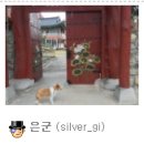 멍멍아 까꿍 이미지