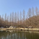 부림농원 네이버블로그