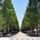 송백자전거도로 이미지