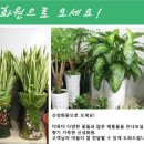 광명농원
