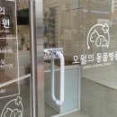 오월의 동물병원 이미지