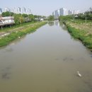 동천교 좌안 이미지