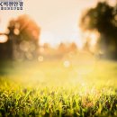 비전안경콘택트 이미지