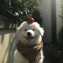 [일상] 난 나의 너를 믿어