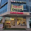 사랑해 베이글 내포신도시점 | 베이글맛집 아이러브베이글 : 사랑해베이글 내포점 (미니비숑 강아지 차차)