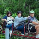 세라핌민박 이미지