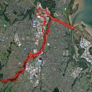 2024년 6월 2일 쉰한번째 : Henderson Opanuku Stream Path-Henderson Loop Path 이미지
