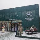 테디베어스토리