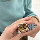 해피킨더어린이집 이미지