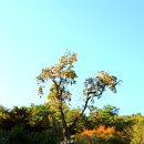 교육원로 이미지