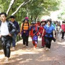 계족산황톳길 이미지