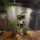 차와 함께 힐링 이미지