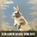 토끼 장례식장 펫로스케어 [도로시]에게 보내는 편지 이미지